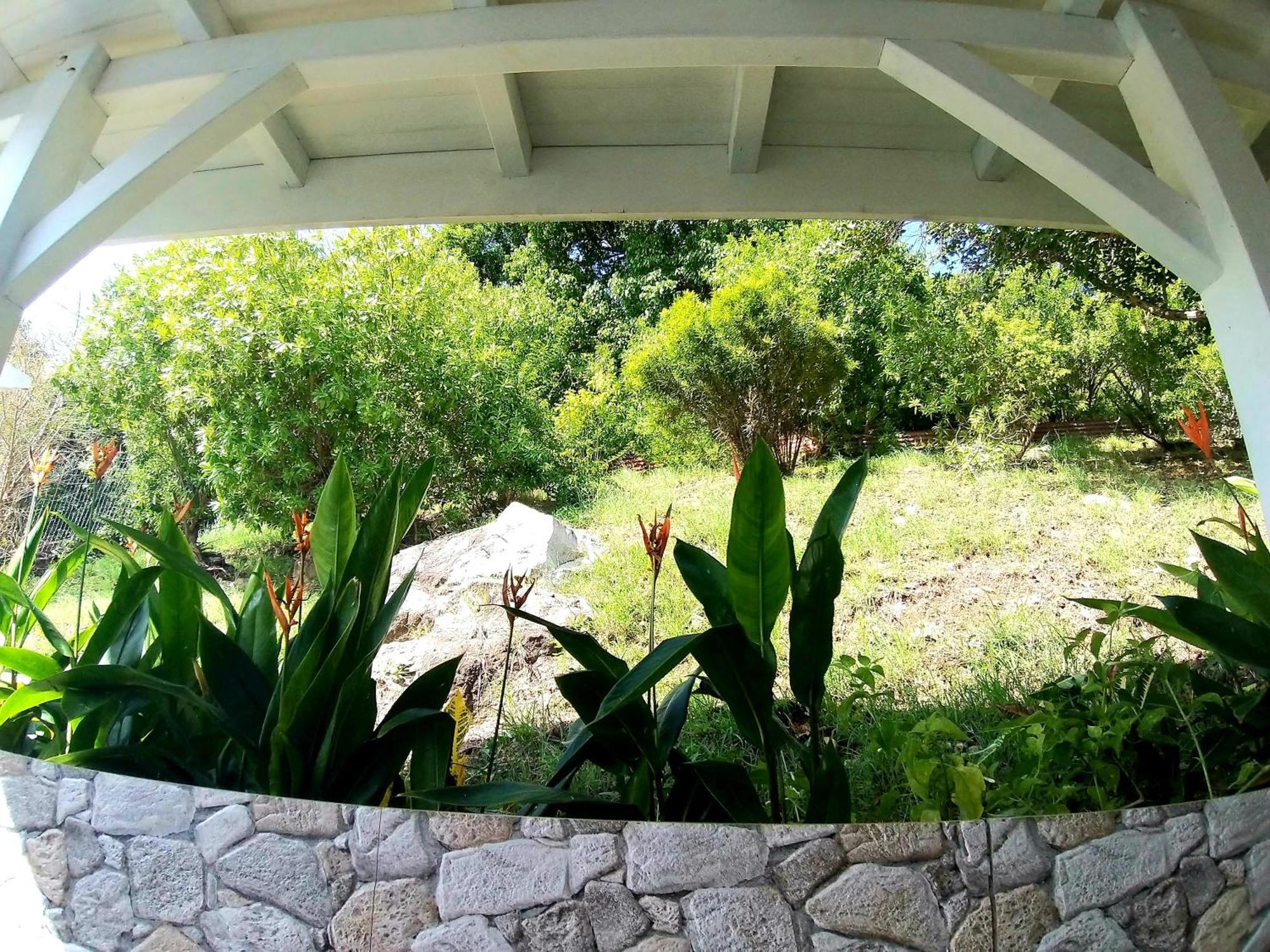 Villa Cana Et Son Spa A Terre De Haut Exterior photo